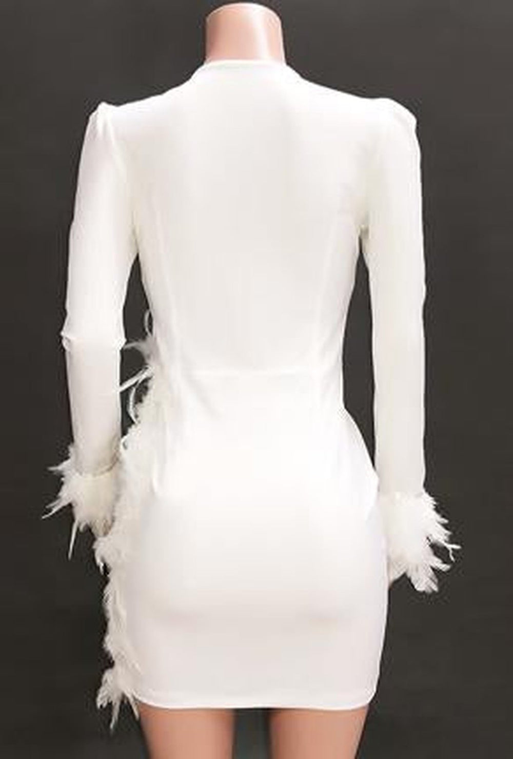 Feather and sequin dress