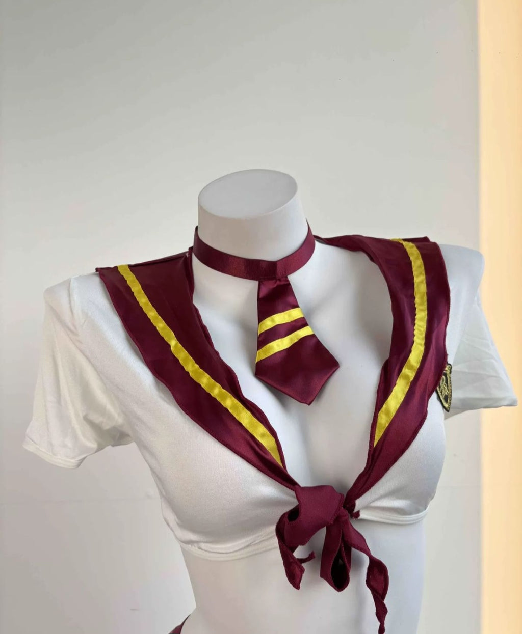 Student Cosplay t3